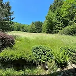 Alpehytte Entier, Vue Panoramique, Ruisseau Et Sauna. *