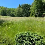 Entier, Vue Panoramique, Ruisseau Et Sauna.