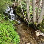 Entier, Vue Panoramique, Ruisseau Et Sauna. Alpehytte