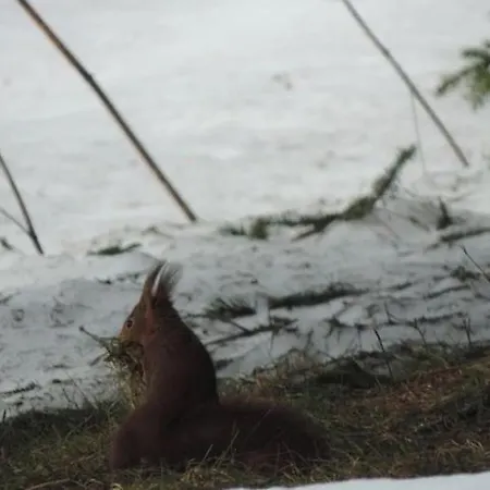 Entier, Vue Panoramique, Ruisseau Et Sauna.