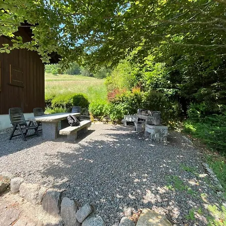 Entier, Vue Panoramique, Ruisseau Et Sauna. * Bussang