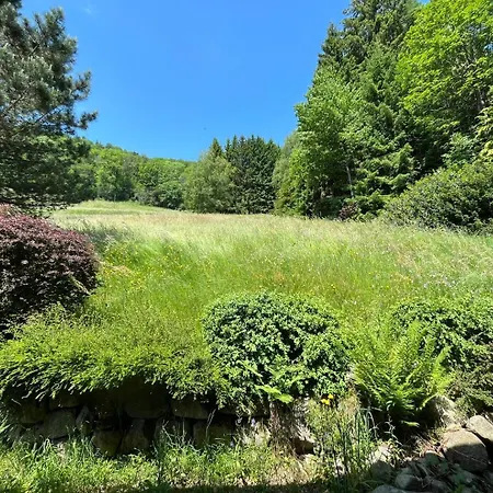Alpehytte Entier, Vue Panoramique, Ruisseau Et Sauna. *