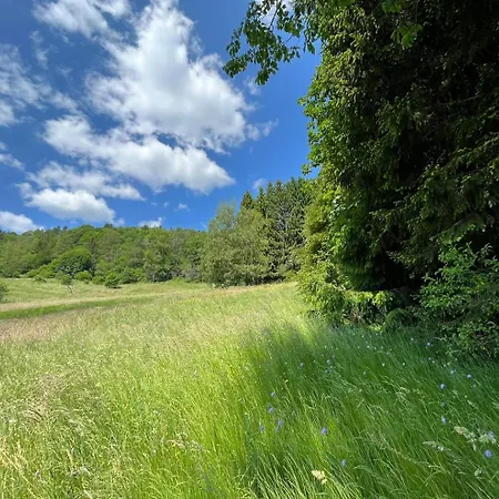Σαλέ Entier, Vue Panoramique, Ruisseau Et Sauna. Bussang