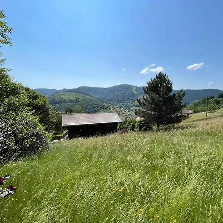 Bois Vue Panoramique : 2 Et Sauna Bussang