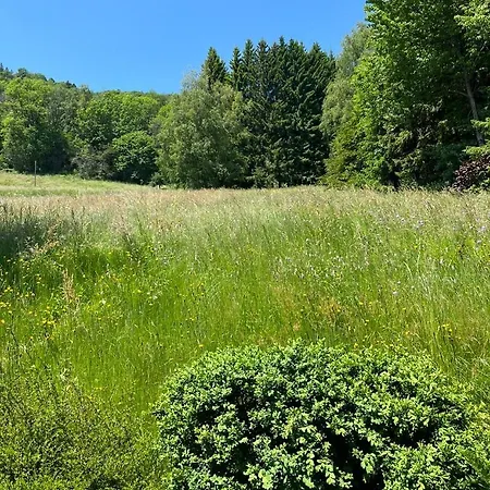 Entier, Vue Panoramique, Ruisseau Et Sauna.