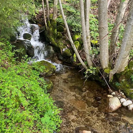 Entier, Vue Panoramique, Ruisseau Et Sauna. Σαλέ