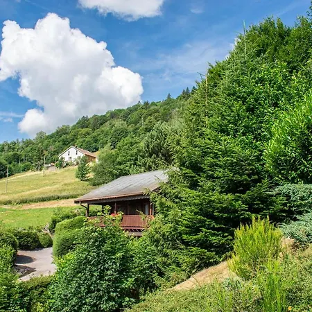 Entier, Vue Panoramique, Ruisseau Et Sauna. *