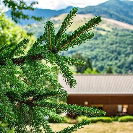 Entier, Vue Panoramique, Ruisseau Et Sauna. Σαλέ *