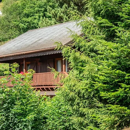 Entier, Vue Panoramique, Ruisseau Et Sauna. Bussang