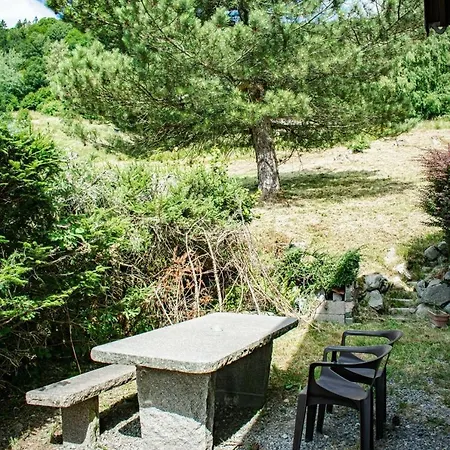 Entier, Vue Panoramique, Ruisseau Et Sauna. Σαλέ