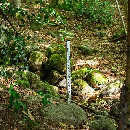 Entier, Vue Panoramique, Ruisseau Et Sauna. Σαλέ Bussang