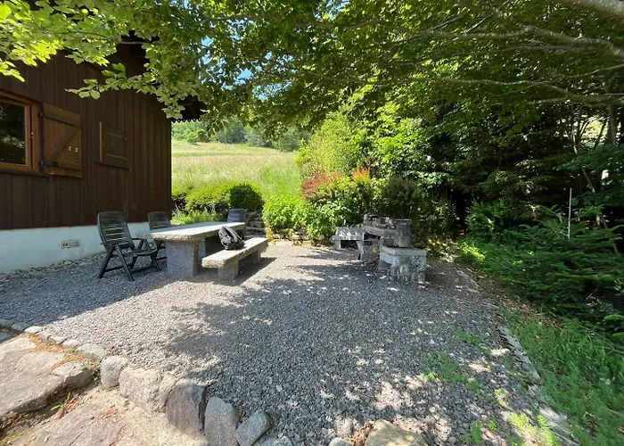 Entier, Vue Panoramique, Ruisseau Et Sauna. * Bussang