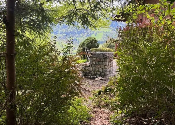 Entier, Vue Panoramique, Ruisseau Et Sauna.