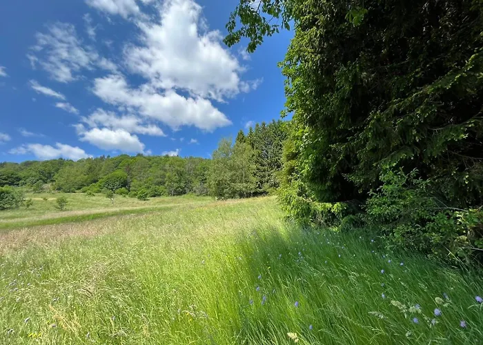 Chalet Entier, Vue Panoramique, Ruisseau Et Sauna. Bussang